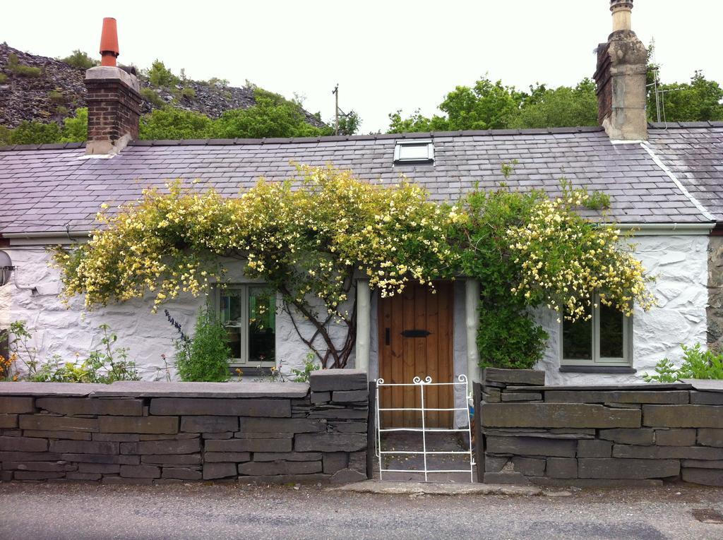 Cycle To The Zipwire Villa Bethesda Exterior photo